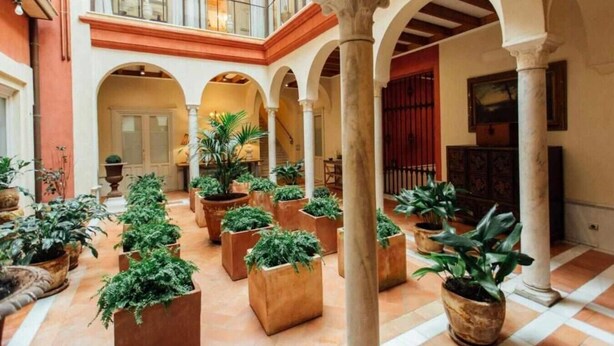 A spacious courtyard with multiple arches, potted plants, and a high ceiling.