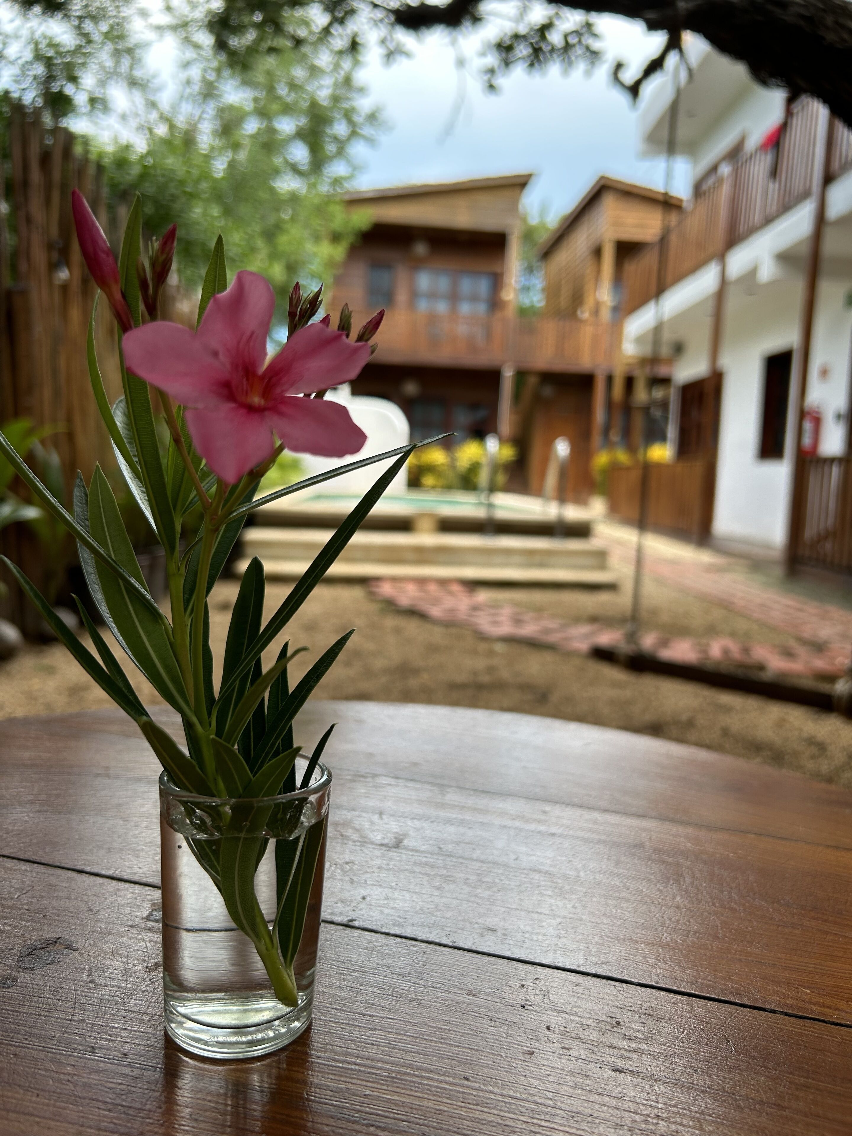 Foto - Hotel Aruma Ha