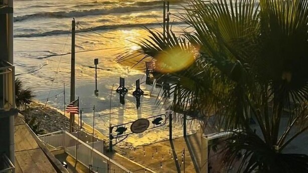 A sunset view from a balcony overlooking the ocean, with a palm tree and street lamps visible.