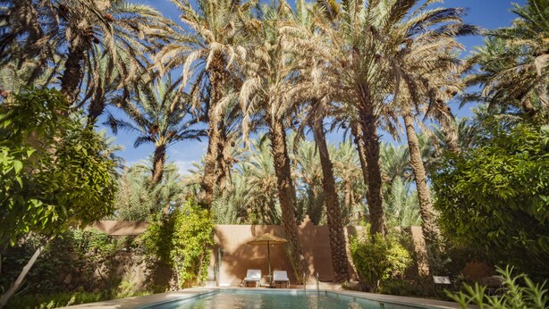 A pool surrounded by tall palm trees and greenery, with two lounge chairs and a table under a parasol. - Guest house in oasis amazrou Zagora south est Maro (Amazraou zagora)