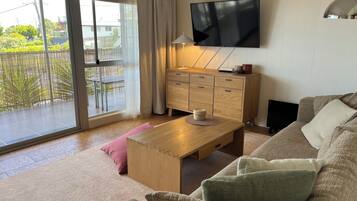 Smart TV, DVD player, books, video library