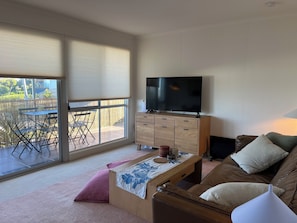 Smart TV, DVD player, books, video library