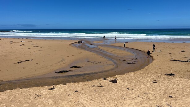 Una playa arenosa con olas suaves y un cielo azul despejado.