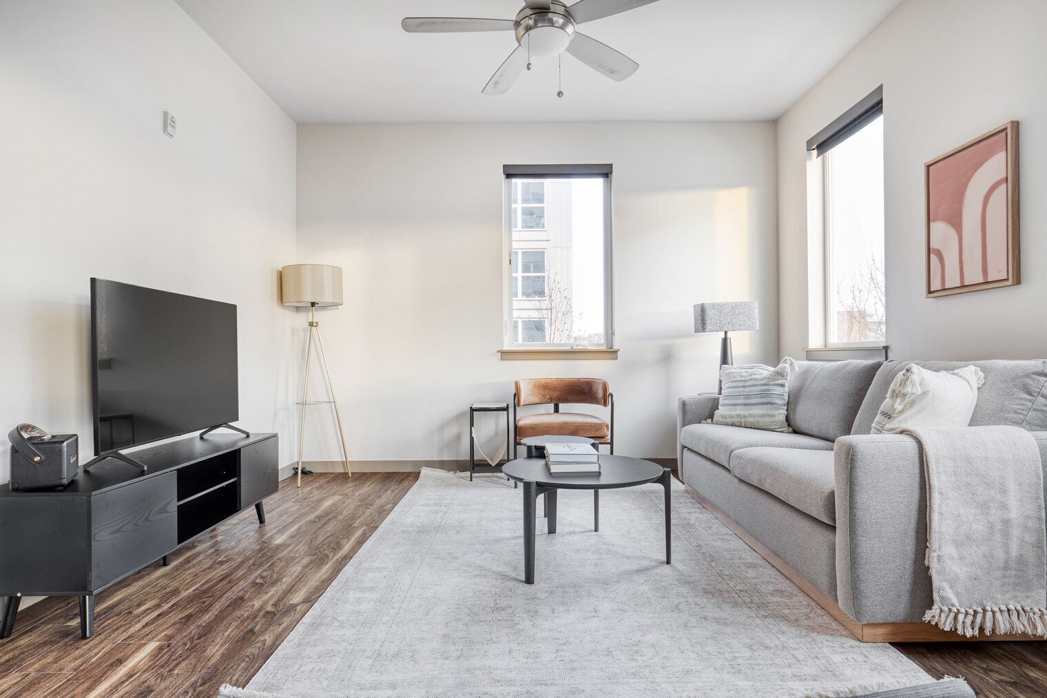 Télévision, chaîne hi-fi