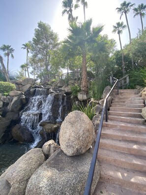 Property grounds - Beautiful Val Vista Lakes home with private heated pool in Gilbert, Arizona! (Gilbert)