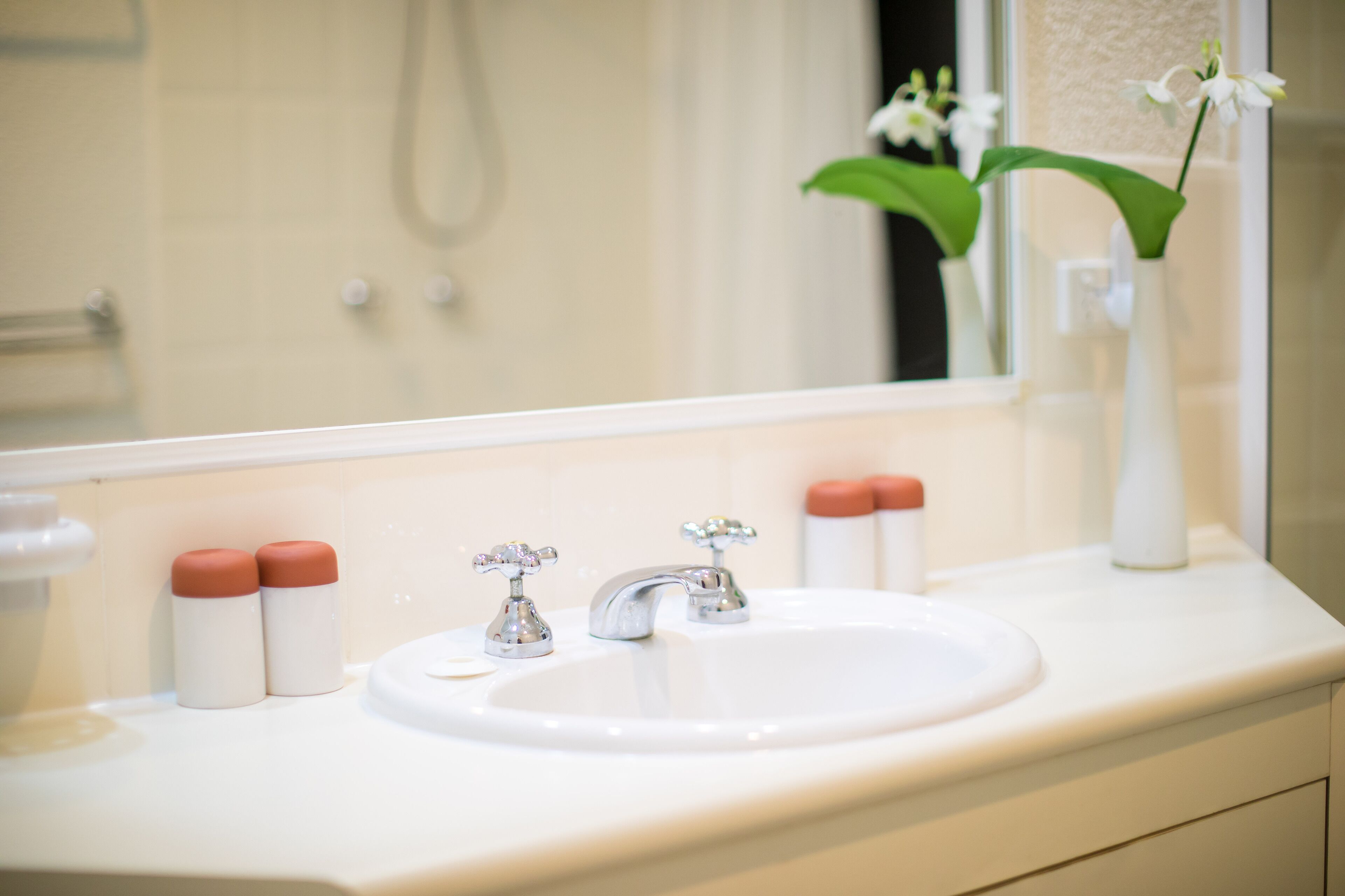 Luxury Home in Nature surrounded by Wallabies — image 15