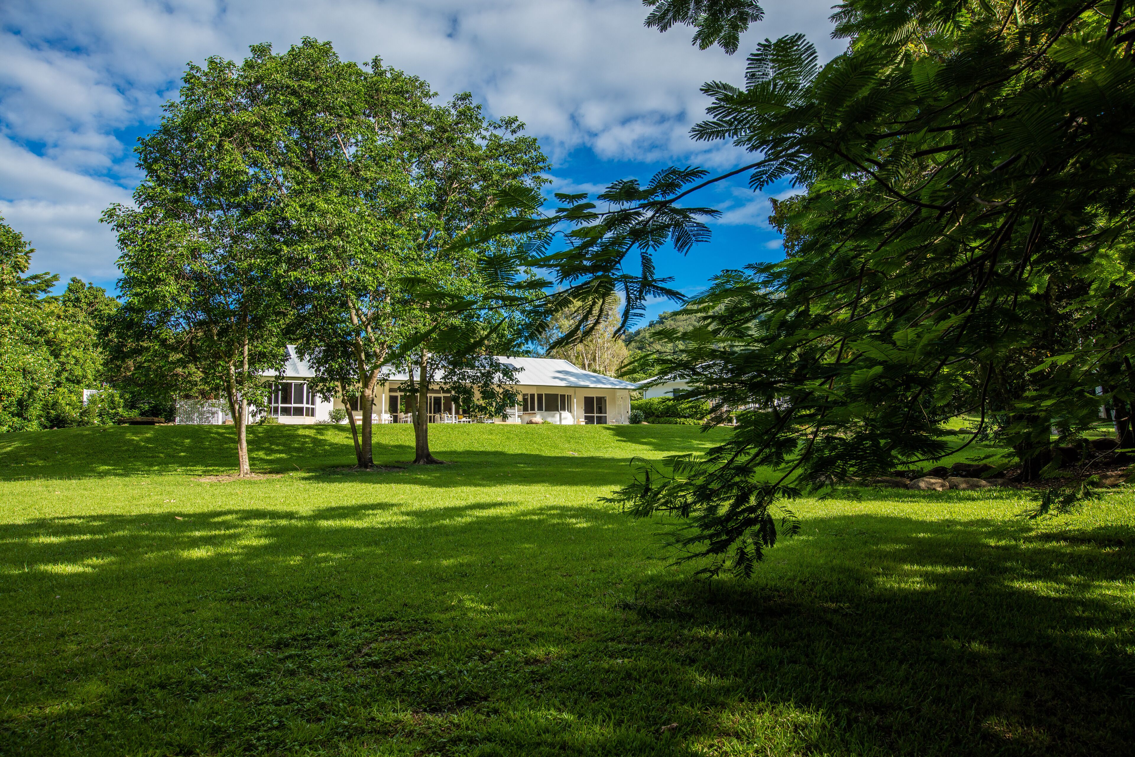 Luxury Home in Nature surrounded by Wallabies — image 29