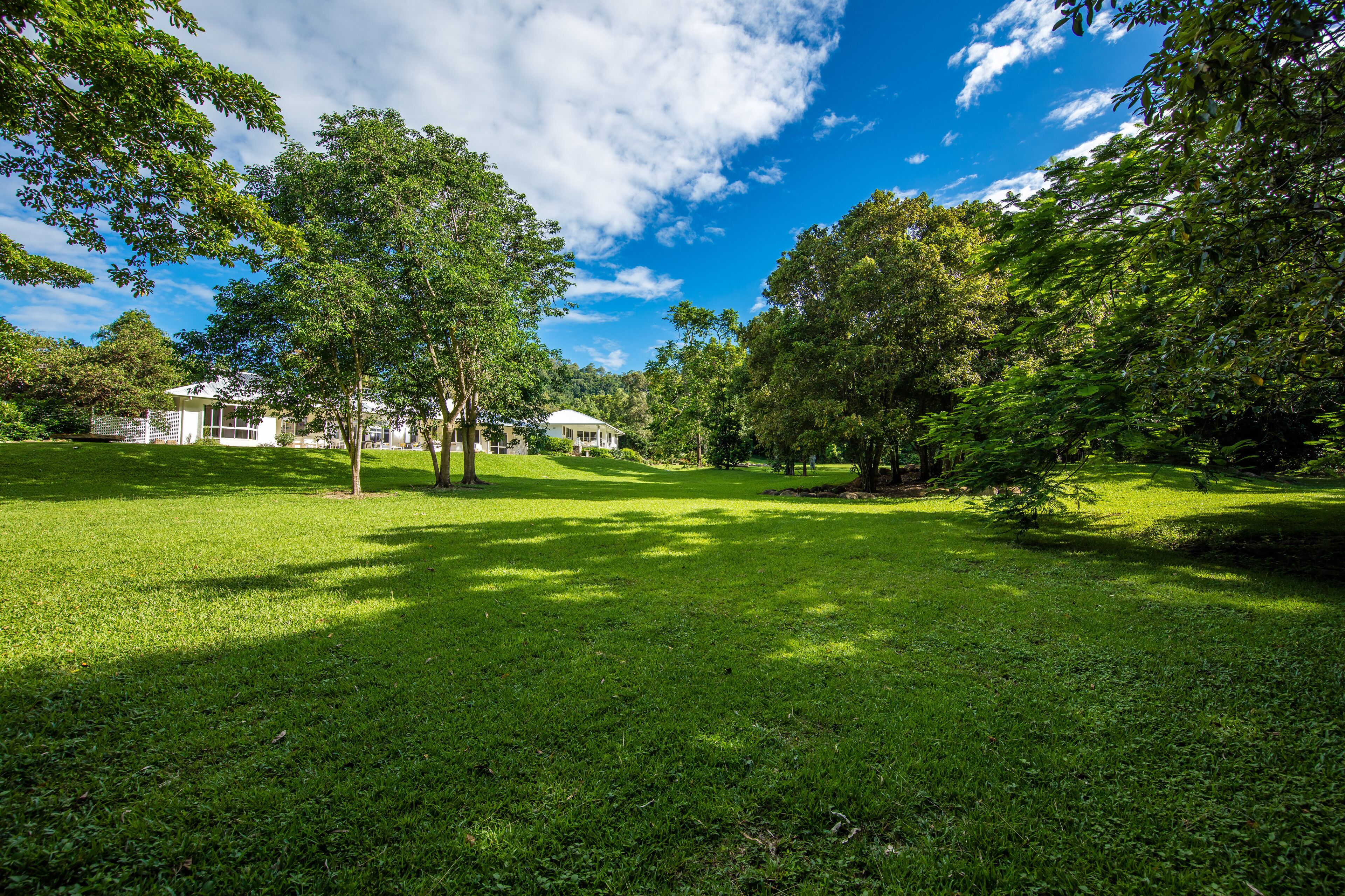 Luxury Home in Nature surrounded by Wallabies — image 28