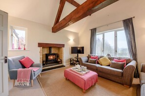 TV, fireplace, DVD player