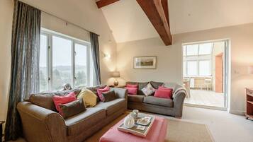 Télévision, cheminée, lecteur de DVD