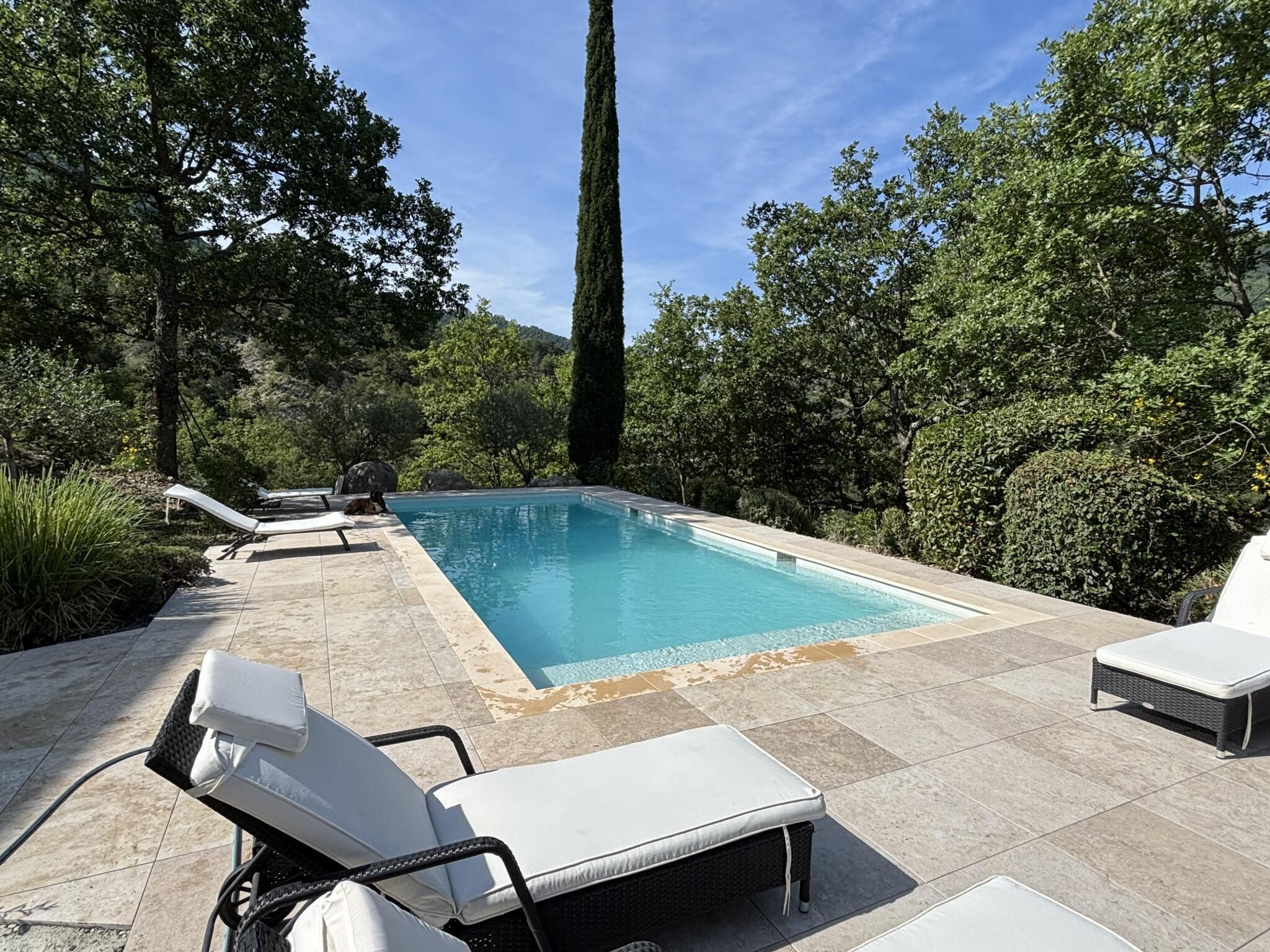 Une piscine rectangulaire, agrémentée de chaises longues et d’une table, et entourée de verdure et d’arbres.
