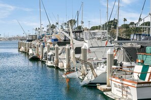A marina with boats docked, featuring a prominent 'TERRA GRATIA' boat.