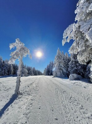 Sports d’hiver