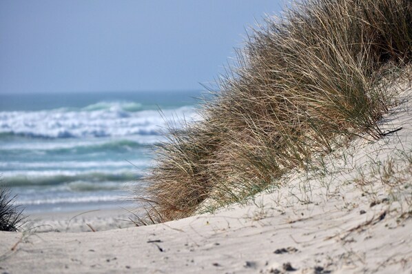 Playa en los alrededores