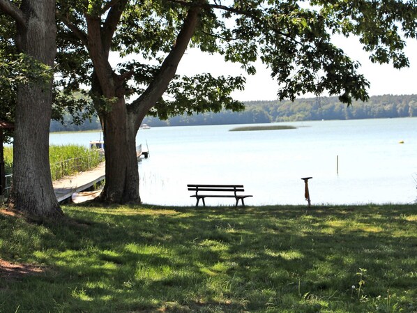 Unclassified image, 1 of 17, button