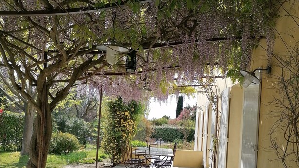 A covered patio area with a table and chairs, surrounded by trees and a garden. - Bastide des Tilleuls, a quiet and shaded retreat between Saint-Rémy-de-Provence and Avignon (Noves)