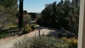 Un jardin avec un chemin de gravier, différents arbustes et de grands arbres.