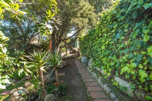 Un chemin de jardin bordé de briques, entouré d’une végétation luxuriante et d’arbres.