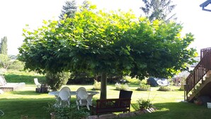 Quintal arborizado com um banco de madeira e uma mesa com cadeiras.