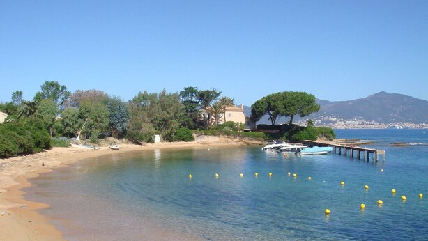 A coastal beach with clear water, a sandy shore, and a pier with boats.