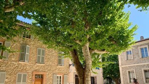 A stone building with shutters, a tree in front, and a bench with flowers. - VILLA DE CHARME, GOLFE St TROPEZ, AU CALME, BELLE VUE DEGAGEE, PISCINE CHAUFFEE (Le Plan-de-la-Tour)