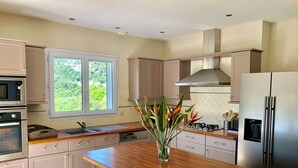 A modern kitchen with a wooden countertop, stainless steel appliances, and a window with a view of greenery. - VILLA DE CHARME, GOLFE St TROPEZ, AU CALME, BELLE VUE DEGAGEE, PISCINE CHAUFFEE (Le Plan-de-la-Tour)