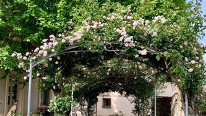 A pathway leading through a garden with a pergola covered in pink flowers. - VILLA DE CHARME, GOLFE St TROPEZ, AU CALME, BELLE VUE DEGAGEE, PISCINE CHAUFFEE (Le Plan-de-la-Tour)