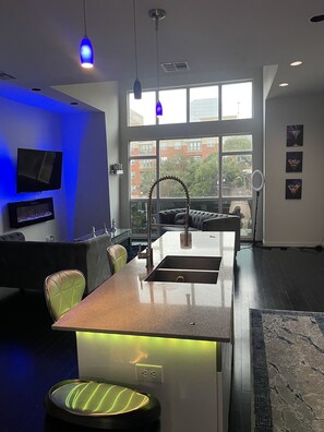 Interior - Luxurious Downtown Loft! (Houston)