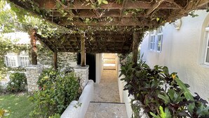 Zona exterior coberta amb un camí de pedra que condueix a l'entrada d'un edifici, envoltada de verdura i plantes.