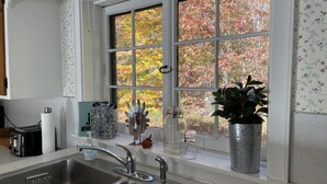 Una cocina con un lavamanos doble, una ventana con vistas a árboles otoñales y una planta en maceta en el alféizar.