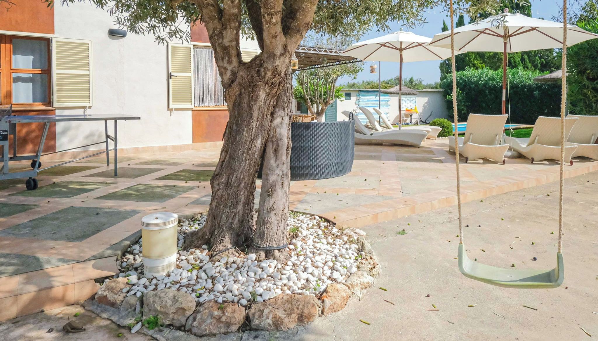 A patio area with a tree, outdoor furniture, and umbrellas.