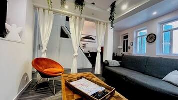 Smart TV, DVD player, books