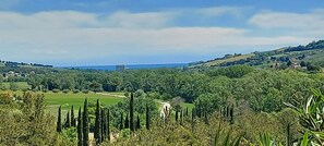 Exterior - Green House Accomodation (Potenza Picena)