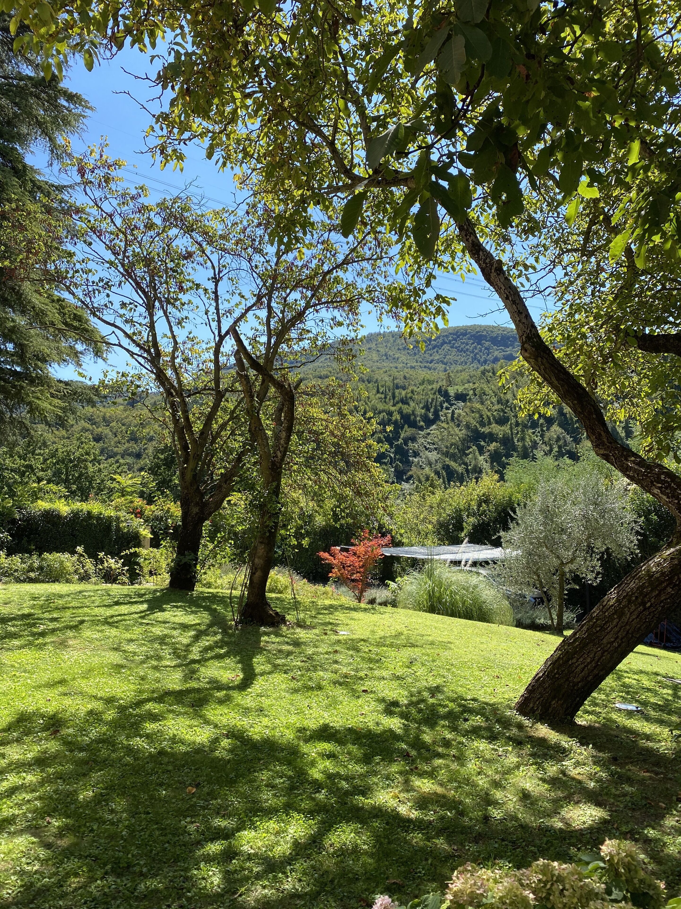 Àrea exterior de l'allotjament