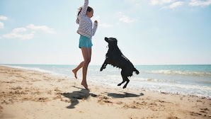 Une personne et un chien sur une plage de sable, avec l’océan en arrière-plan.