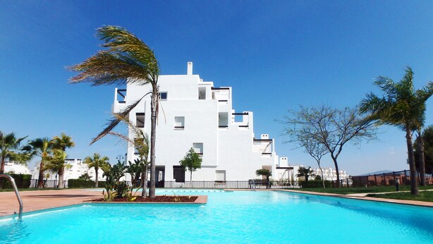 Um edifício moderno com piscina, cercado por palmeiras e um céu azul límpido.