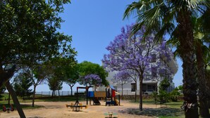 Um parquinho com balanços e um escorrega, cercado por árvores e um prédio ao fundo.