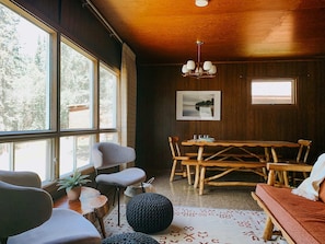 TV, fireplace, books