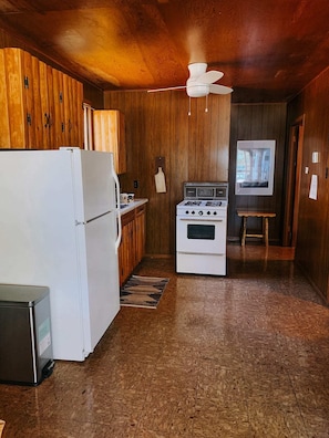 Fridge, oven, stovetop, coffee/tea maker