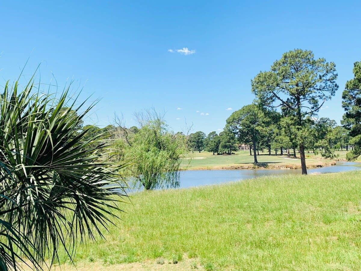 A golf course with a pond, trees, and a clear sky.