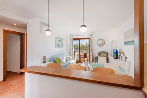 تلفزيون، مشغل دي في دي