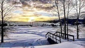 Snow and ski sports