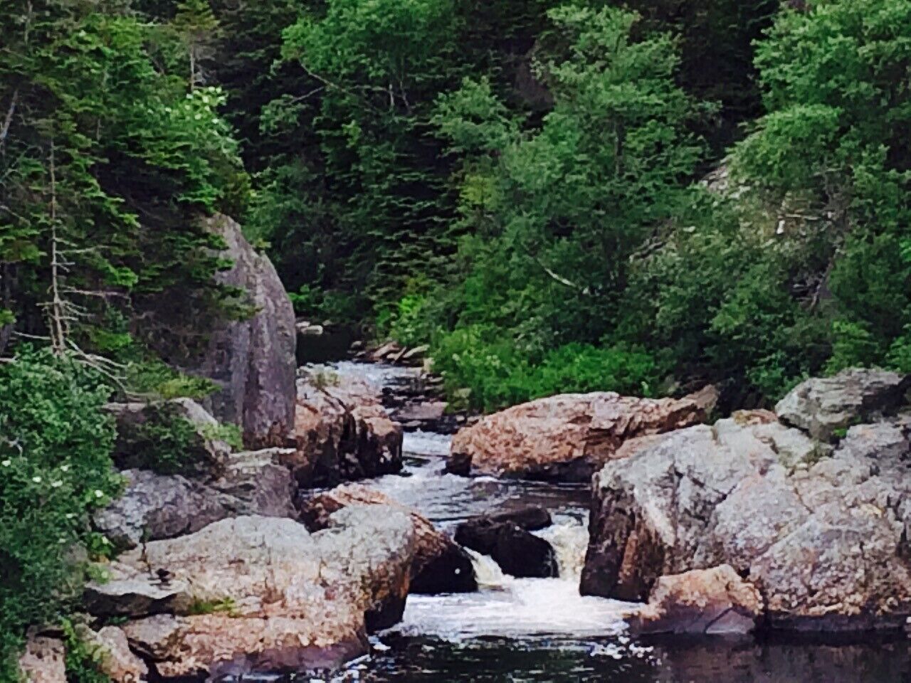 A natural landscape with a flowing river, surrounded by large rocks and dense green foliage.