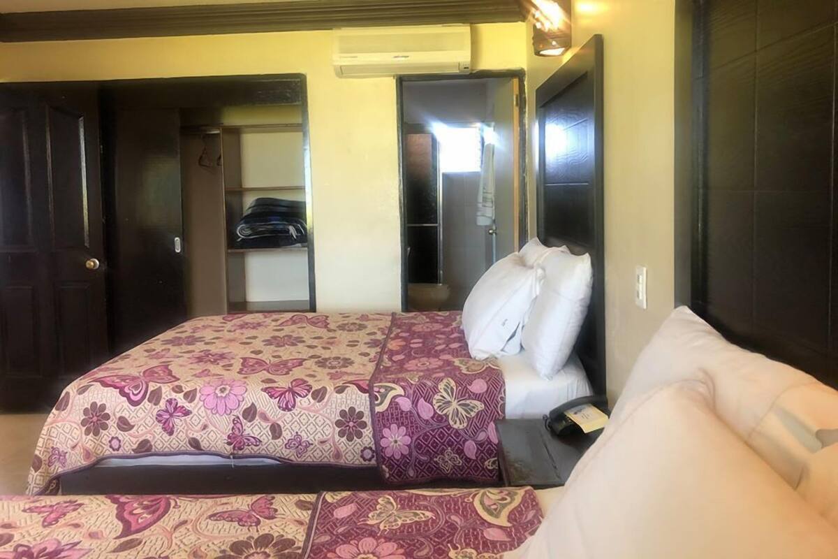 Basic-Suite