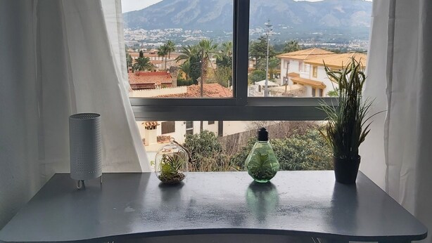 Una stanza con una grande finestra, una scrivania e due piante in vaso.