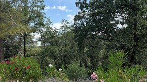 A garden with a white bench and a small table, surrounded by various plants and trees. - Modern apartment 10min to walk to the city center WITH swimming pool (Cotignac)