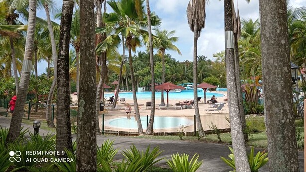 A pool area with lounge chairs and umbrellas, surrounded by palm trees. - Studio 4 pers vue mer et cocotiers Village Vacances Ste-Anne, Pointe du Helleux (Sainte Anne)