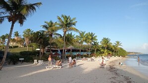 A beach with palm trees, lounge chairs, and a building with a beachside view. - Studio 4 pers vue mer et cocotiers Village Vacances Ste-Anne, Pointe du Helleux (Sainte Anne)