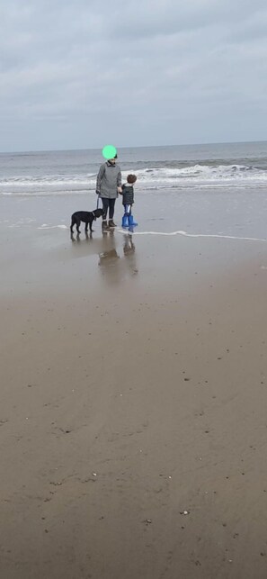 Beach - Amble holiday home, near marina, spacious and comfortable (Amble)