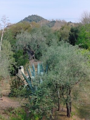 Shower, bidet, towels, soap